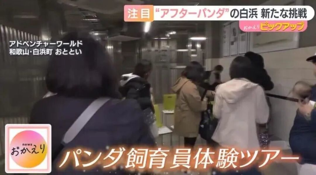 日本熊猫归还后,动物园出“魔幻操作”:游客花钱当饲养员,工作人员扮熊猫!网友:这体验太抽象了…