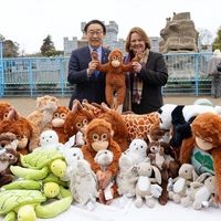 日本Panchi小猴出镜 IKEA社长亲访捐赠动物园33玩偶