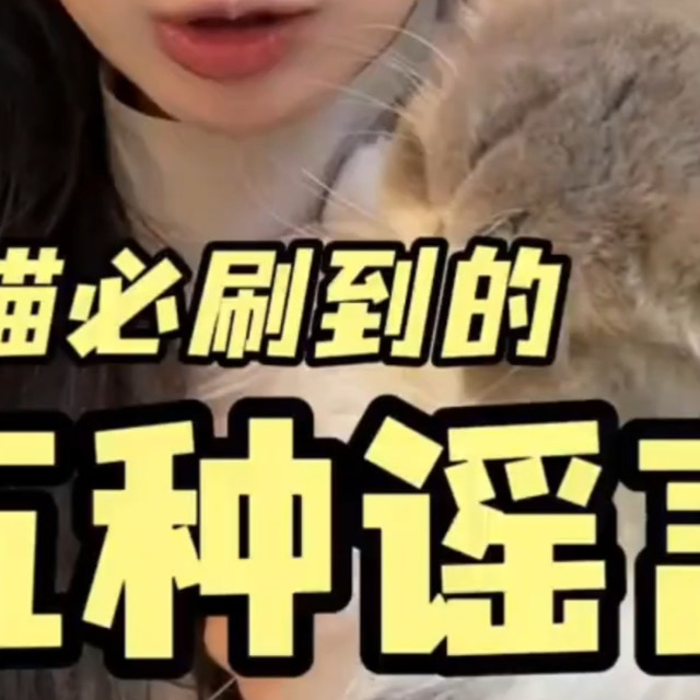 养猫必刷的五种谣言！