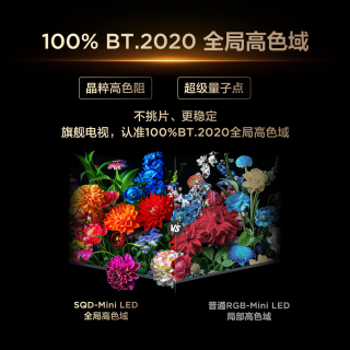 TCL 85Q10M呈现春晚《立春》之美，这帧“十美同春”封神了！