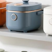 刷爆朋友圈电饭煲排名前十名的品牌推荐：哪个牌子好用质量好？