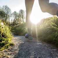 2025-2026越野跑鞋市场格局：头部型号赛事上脚率与口碑集中度显著提升