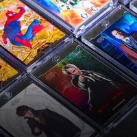 2025卡牌收藏市场分化加剧：高端卡交易额激增29%，消费级缩水超40%
