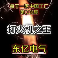 打火机之王——东亿电气【每天一家中国工厂系列13】#东亿电气 #打火机 #天下工厂 #每天一家中国工厂 #点烟器