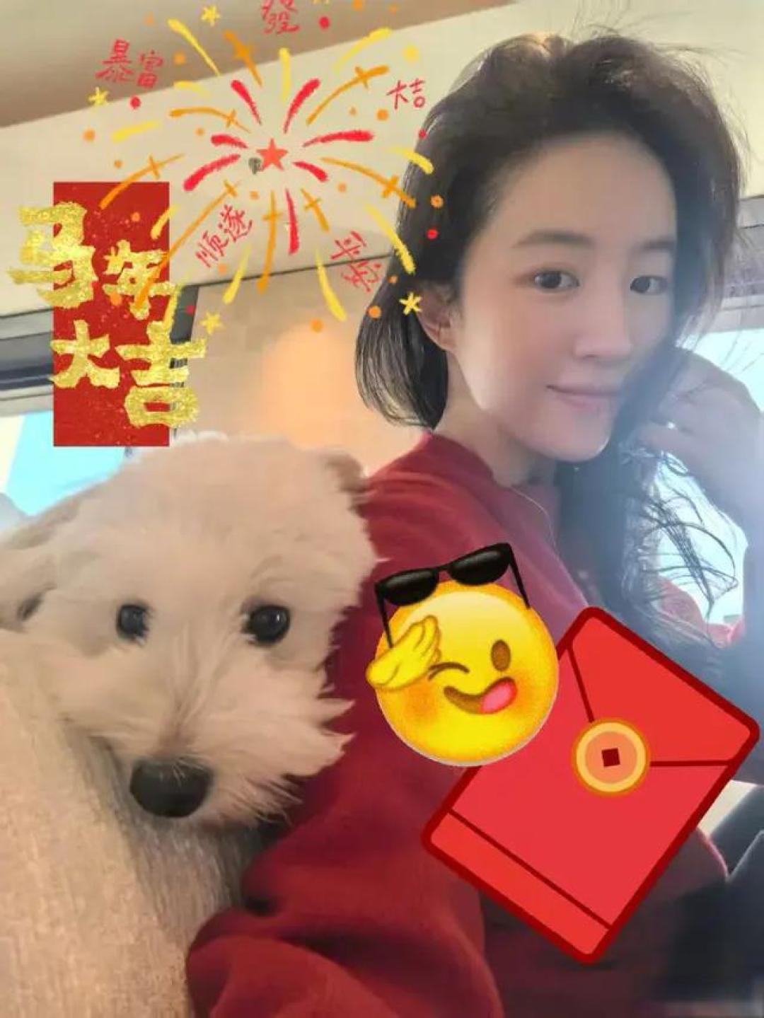 刘亦菲晒拜年照:素颜状态亮相,身穿简约居家服饰,怀中抱着白色卷毛小狗;此前其在采访中曾介绍家中宠物,和妈妈一起救助多只流浪猫