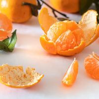 砂糖橘防上瘾指南