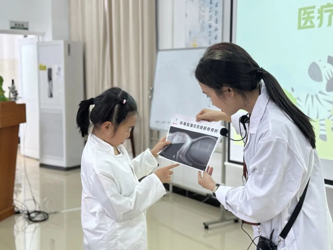 南宁市动物园研学课程发布啦
