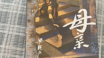 平凡里的光——读梁晓声《母亲》有感