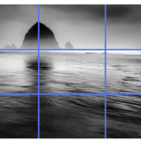 三分法 vs 黄金分割？68位用户实测告诉你答案