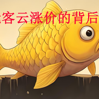 震撼！不能飞牛的低价玩客云一机难求是为哪般？