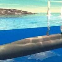 外媒称我国正以史上最快的速度建造潜艇，5年下水近8万吨