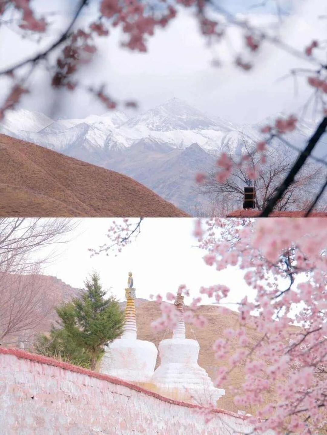 国家地理一生必去的8个地方，你去过几个？最后一个暖到心醉！