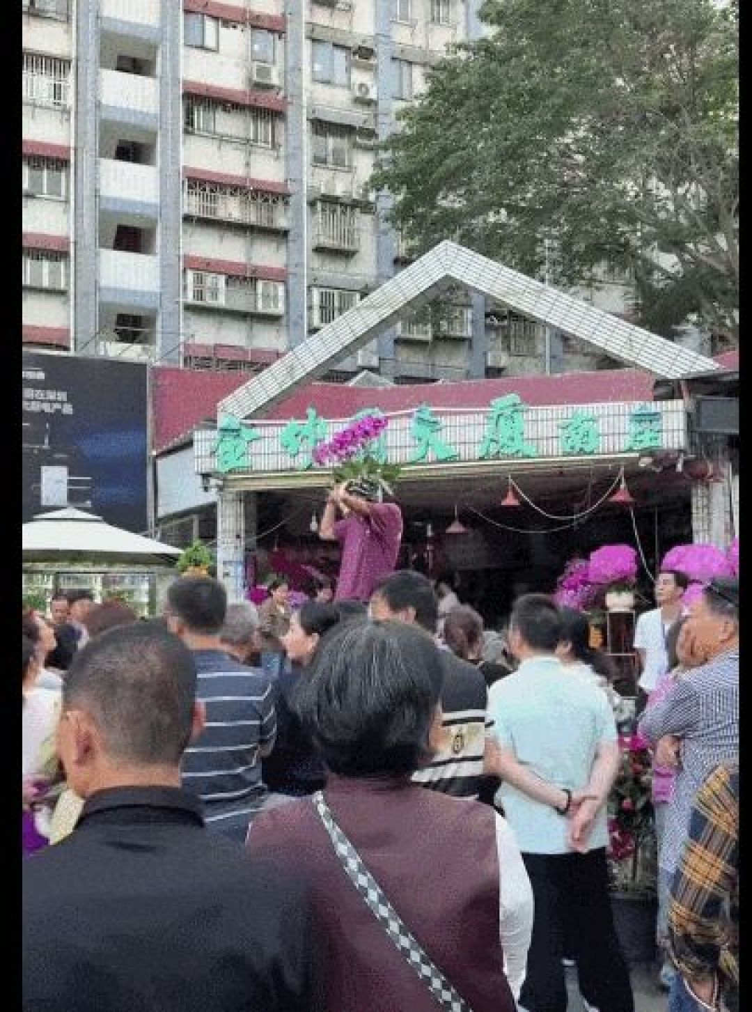 深圳街头年花“反向拍卖”火了,快乐比花更值钱