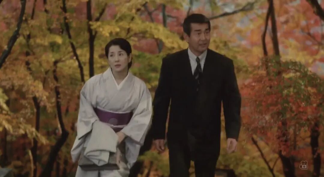 天哪!终于找到了这部影片!“物哀美学”封神之作!每一帧都美到心碎,却又让人欲罢不能!
