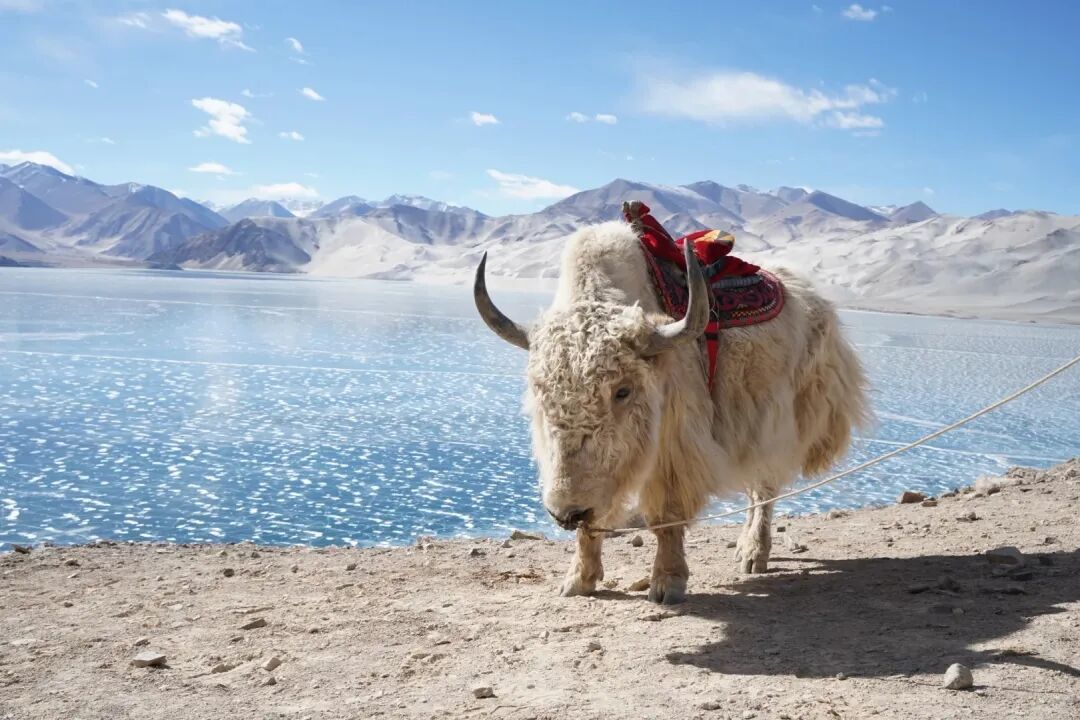 南疆人挤人的白沙湖,现在还值得去吗?