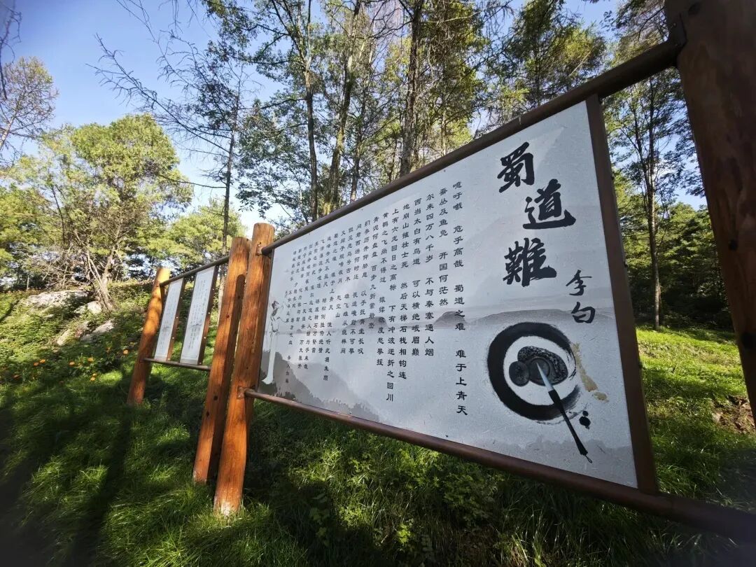【新春走基层】春风十里,诗韵大河在等你!亲子吟诗研学,解锁假日美好~~