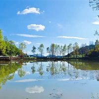 【新春走基层】春风十里，诗韵大河在等你！亲子吟诗研学，解锁假日美好～～
