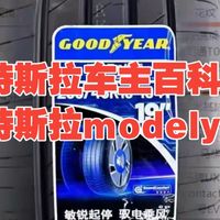 特斯拉车主百科  特斯拉modely