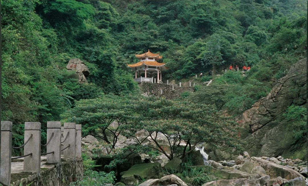 新春趣游清新！生态文化探寻之旅，好玩不重样