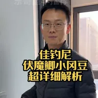 佳钓尼伏魔鲫小冈豆超详细解析 #佳钓尼伏魔鲫小冈豆#佳钓尼伏魔鲫小冈豆超详细解析#佳钓尼#东哥鱼竿推荐#鱼竿测评