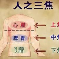 三焦堵了怎么调？八珍丸、香砂六君子丸、归芍地黄丸，对症才见效