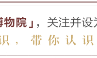 寒假研学（四）｜先探秘，再入戏：在河南博物院，和国宝做一次“戏中人”