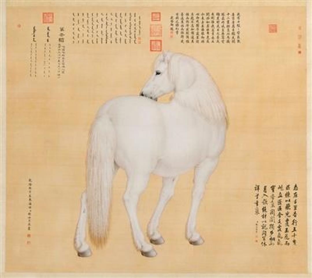 文物中的马文化