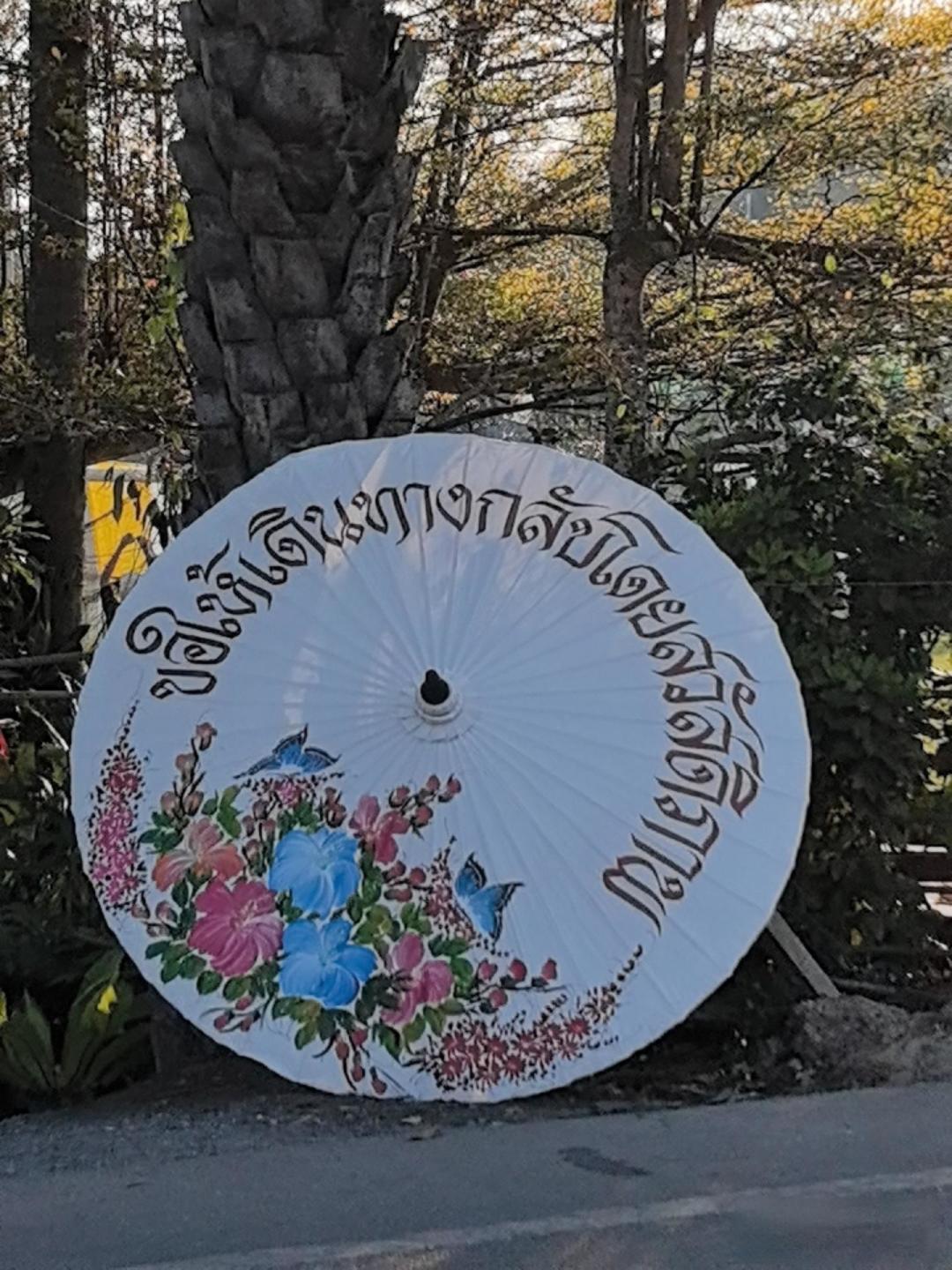 清迈新年期间所见所闻
