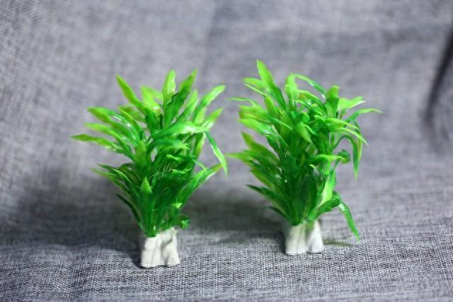 鱼缸里最没用的5样东西，新手还在疯狂买，我花了800块交智商税