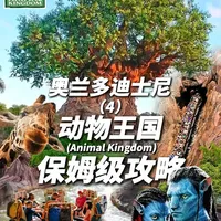 凭什么是奥兰多迪士尼人气最高的🦁动物王国 这是一座把游乐园藏进自然里的地方
系列四🦁动物王国 Animal Kingdom 
本系列终章🔥看完和那个TA一起去吧
没看的赶快去看！ 
我们的旅程还在继续
猜猜下期会去哪里玩？ 
#春节旅行好去处#我的新年旅行第一站 #奥兰多迪士尼 #迪士尼攻略 #周末去哪玩