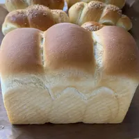 蒸烤双做吐司真能兼顾外酥里软？设备控温与蒸汽注入方式才是关键差异