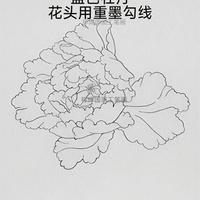 新手入门教程，工笔蓝黄红三色牡丹染色步骤全解析