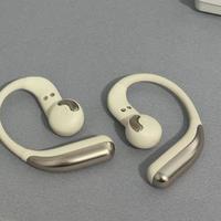 蛇圣开放式耳机舒适与音质能兼得吗？600+用户观点大碰撞