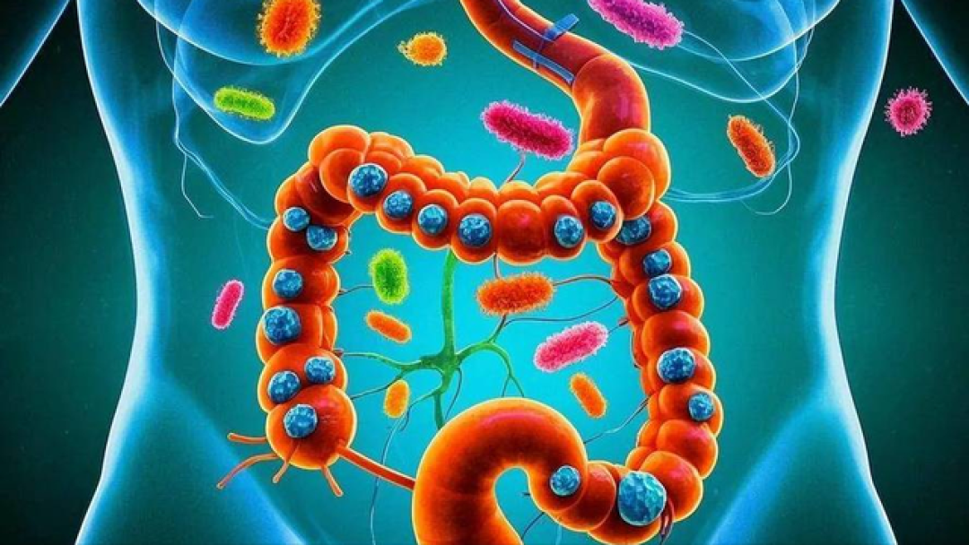 医生调查567人发现:常喝红茶的人,消化系统竟有这几个变化!