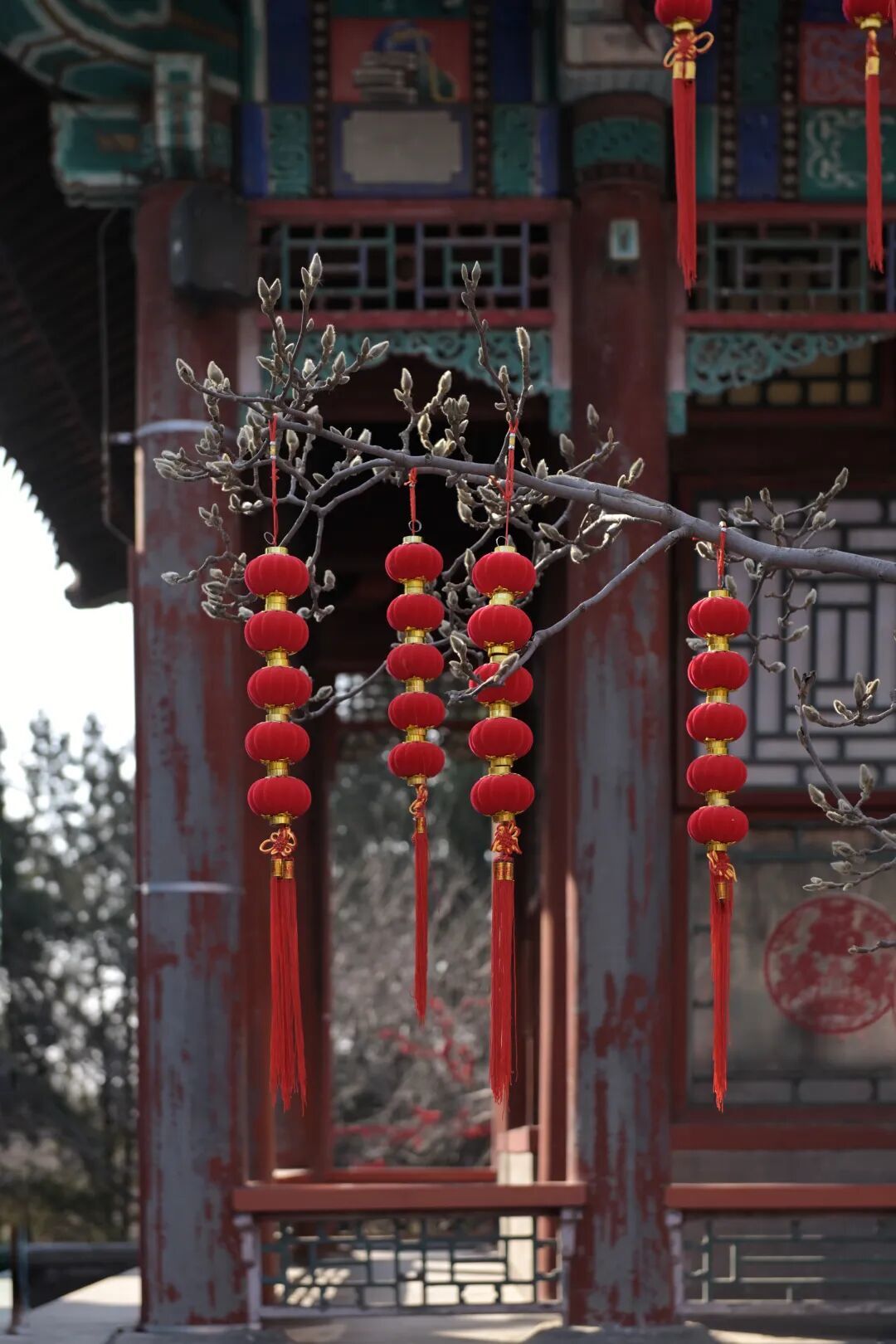 在颐和园一气儿逛仨展，发现九成观众都是老北京