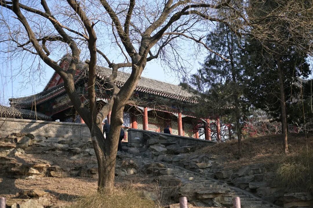 在颐和园一气儿逛仨展，发现九成观众都是老北京