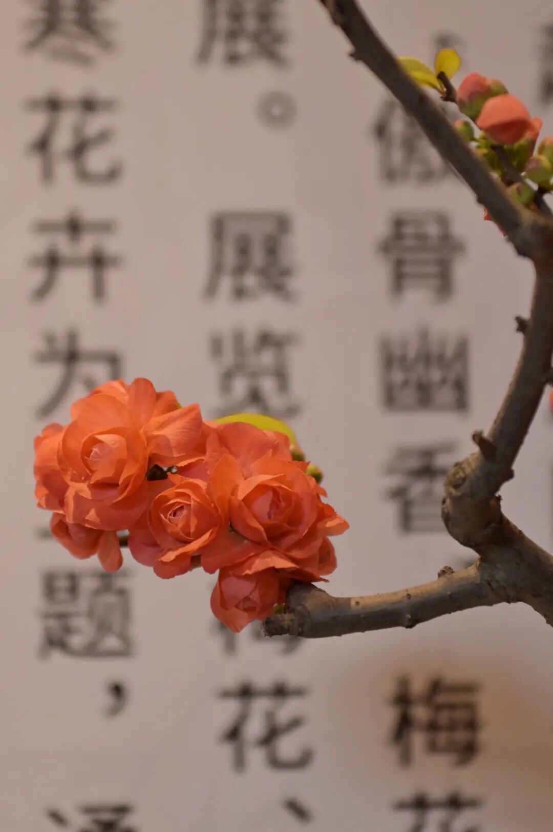 在颐和园一气儿逛仨展，发现九成观众都是老北京