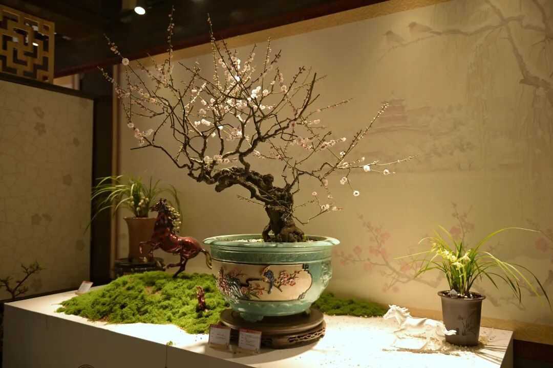 在颐和园一气儿逛仨展，发现九成观众都是老北京