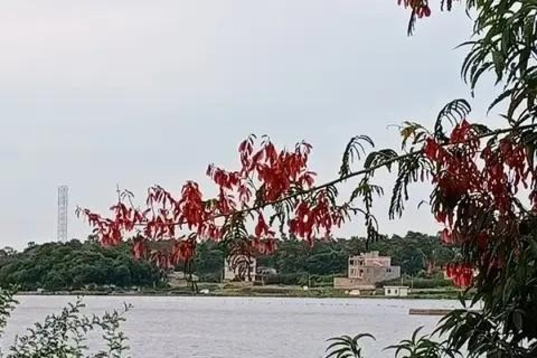 一个人最好的风水：就一个字，可是许多人不知道