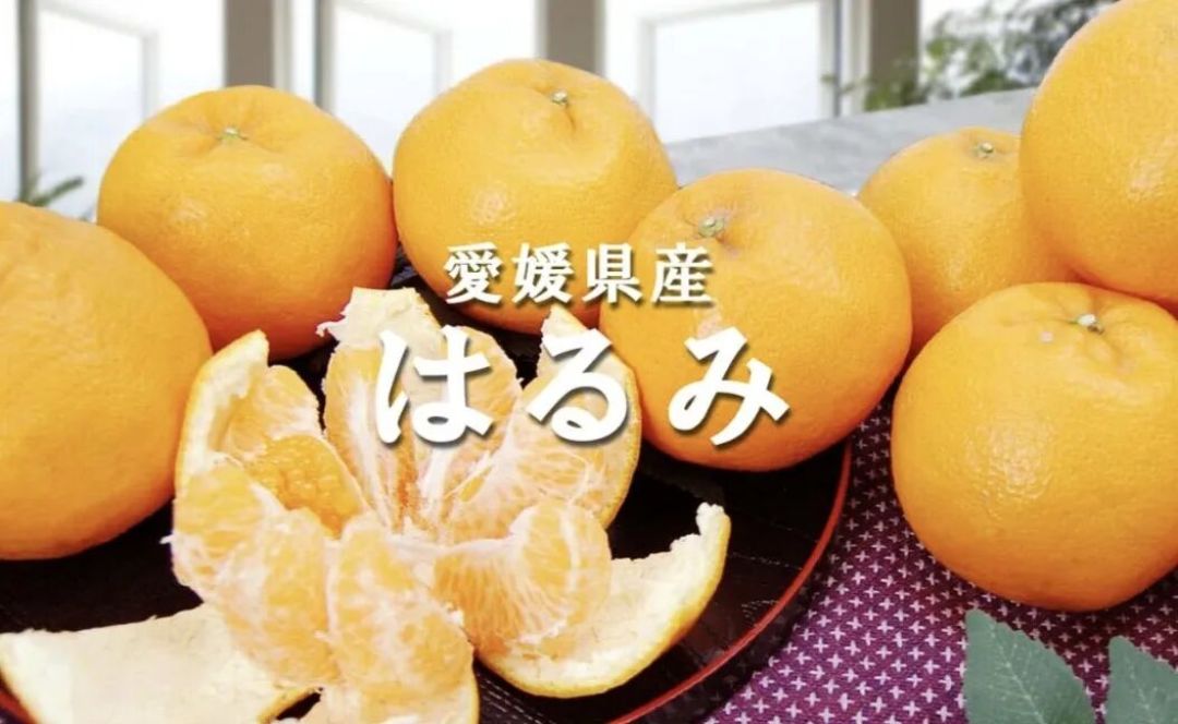 你天天吃的「耙耙柑」在日本原来叫这个名字