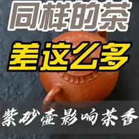 为什么同样的茶，换个壶泡⾹⽓差这么多？ ⼀把好的紫砂壶，不仅是盛载茶汤的容器，更是⾹⽓交响的指挥家。它以物理的孔隙和温和的化学属性，与茶叶进⾏⼀场⽆声对话。真正的品茶者，正是要读懂这种泥料与茶叶间的隐秘语⾔。选对泥料，便是找到那位最懂这⽚茶叶的知⼰。#非遗#非遗文化 #非遗守护人 #紫砂壶 #器物之美