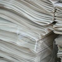 身边的植物小知识——纸张背后的秘密。你手里的纸，原来曾是一棵树