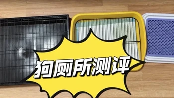 热门狗厕所测评来啦#柴犬 #萌宠出道计划 #定点上厕所 #定点大小便训练 #狗厕所