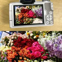 佳能M50二代：新手入门神机还是性能妥协？328+用户观点大PK