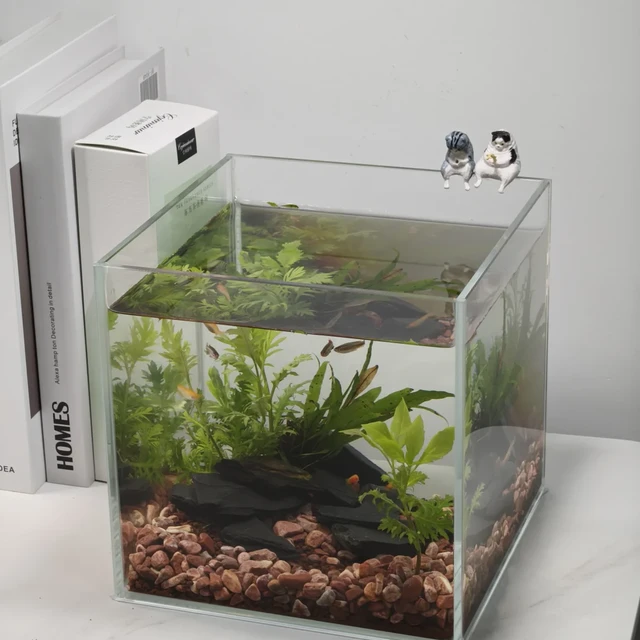 新手别慌！30天打造低维护自循环水草缸，懒人也能养出水下花园