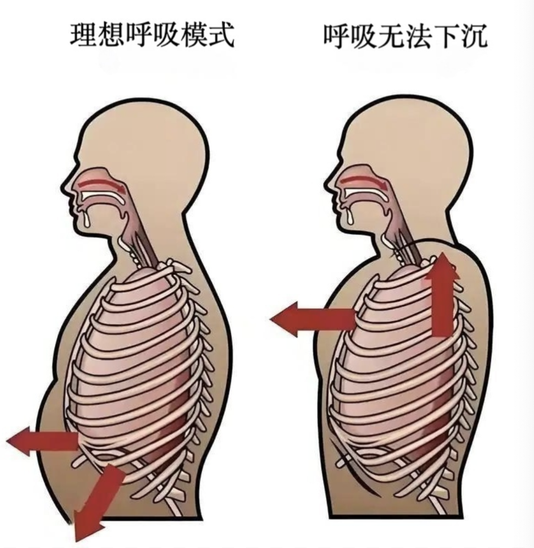 新春好放松丨呼吸深入好放松（内附练习方法）