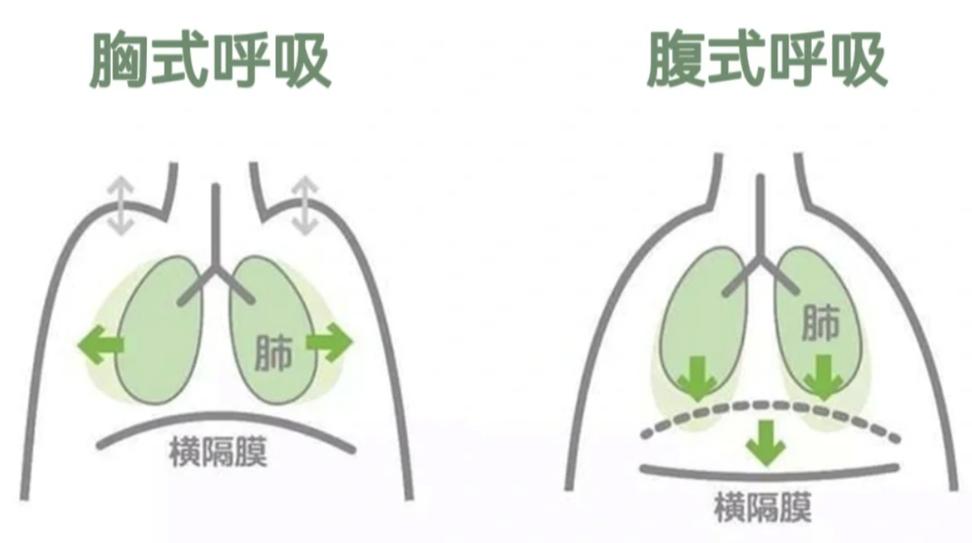 新春好放松丨呼吸深入好放松（内附练习方法）