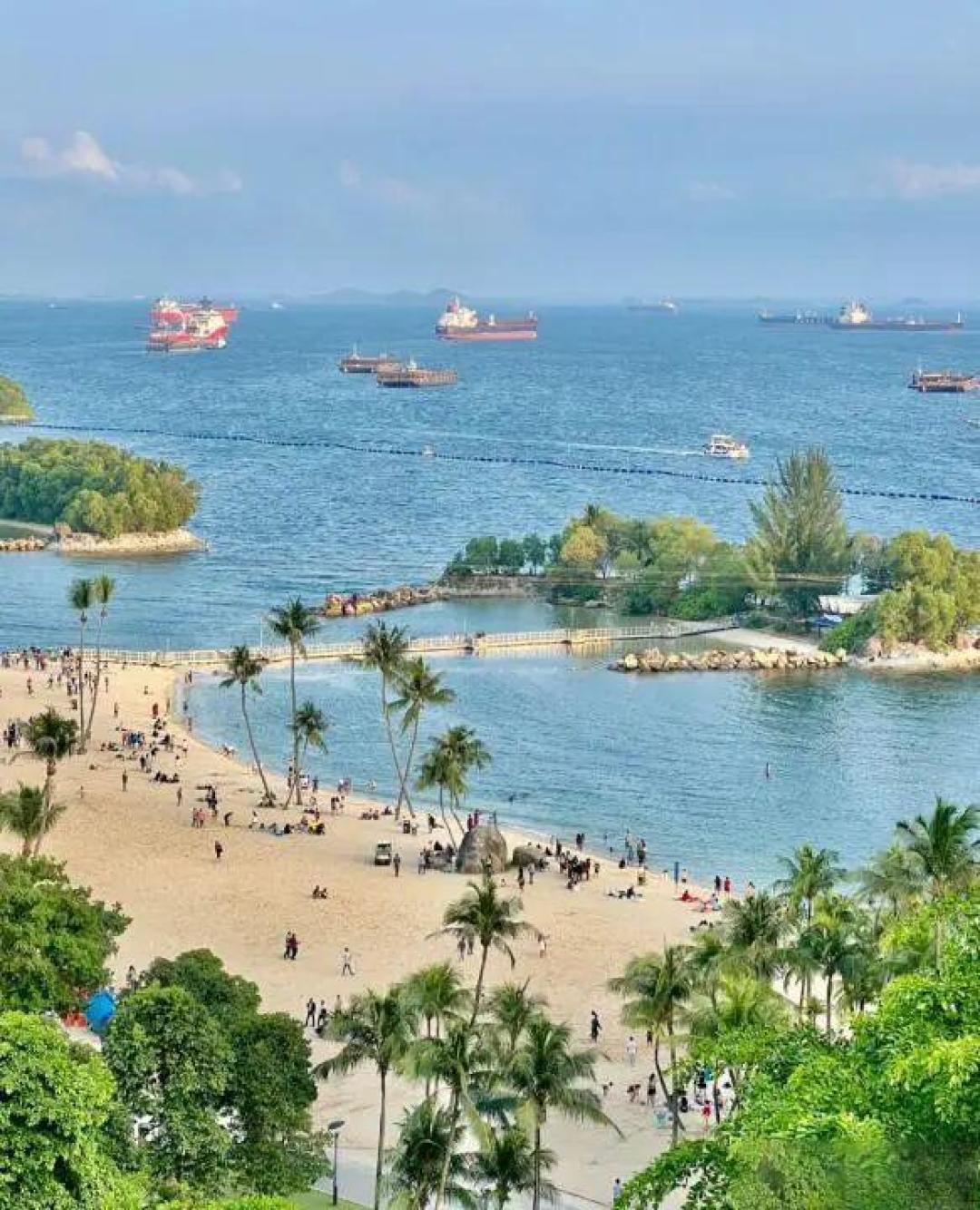 被自己穷笑了！春节去新加坡旅游：入境被罚6000，酒店1.6万一晚