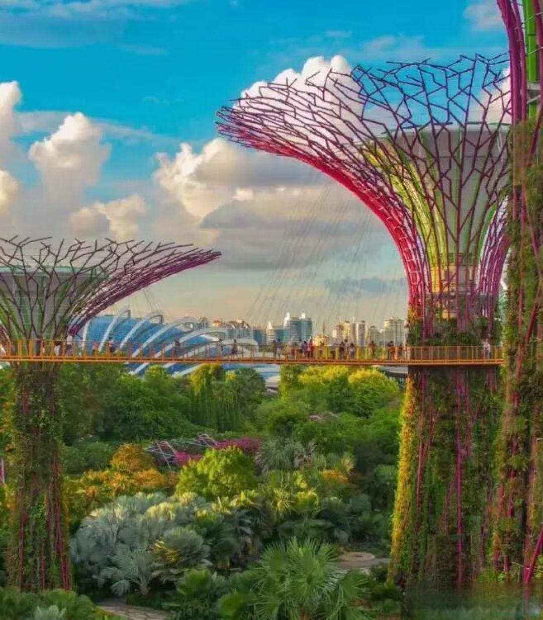 被自己穷笑了！春节去新加坡旅游：入境被罚6000，酒店1.6万一晚