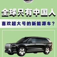 全球只有中国人 喜欢超大号的新能源？ #新能源汽车  #买车攻略  #买车那些事儿  #SUV  #大型车